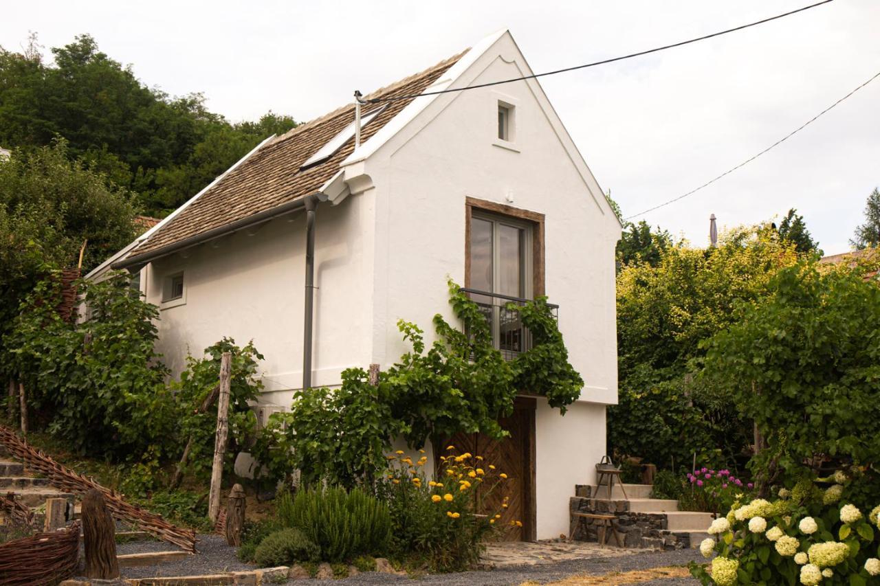 Vinonima Vendeghaz Villa Hegymagas Exterior foto